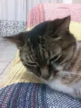 Princesa