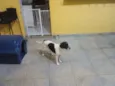 Billy