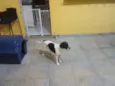 Billy