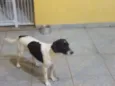 Billy