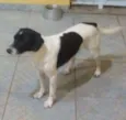 Billy