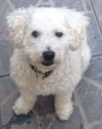 billy
