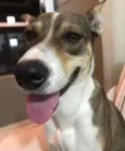 Lua e Espoleta