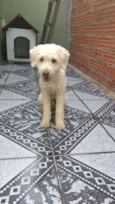 Spike