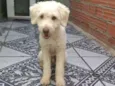 Spike