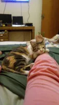 Lola
