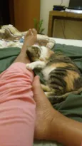Lola