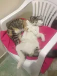 Juninho e Lola