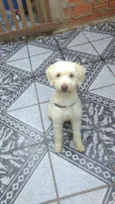 Spike