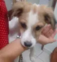 Lola