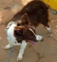 Romeu
