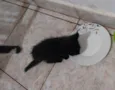 Não tem ainda
