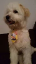 Amonrá