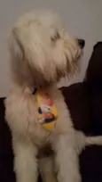 Amonrá