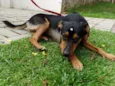 Vitória