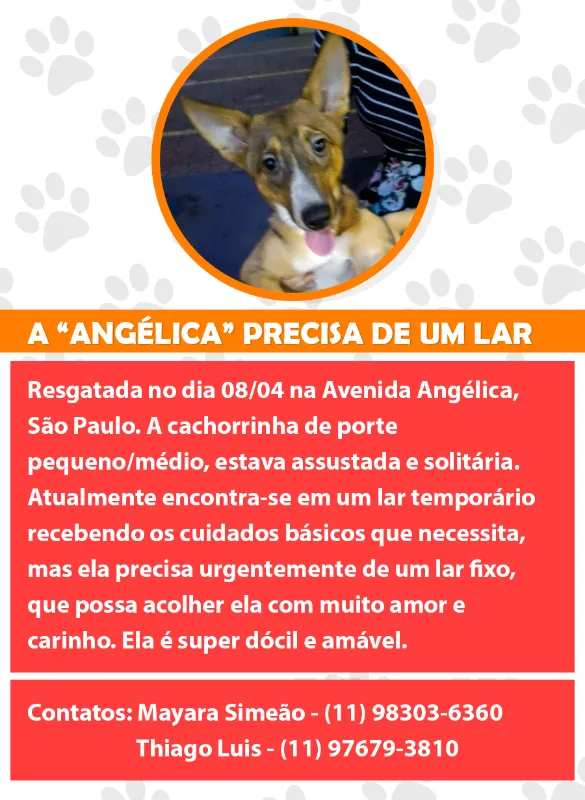 "Angélica"