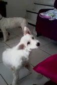 Hana