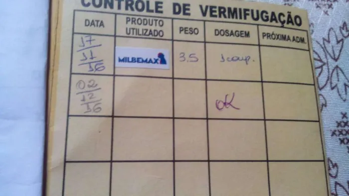 Cachorro ra a SRD idade 7 a 11 meses nome NEGÃO