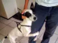Lili