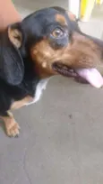 Ritinha