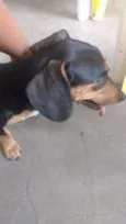 Ritinha