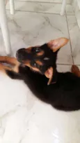 Não tem nome