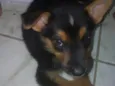 Não tem nome