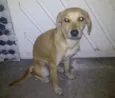 Lili