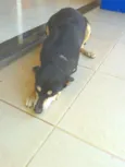 Mel