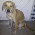 Lili