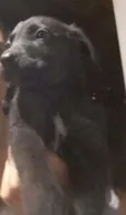 Não tem 