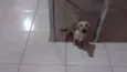 Bob