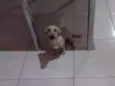 Bob