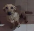 Bob