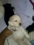 Não tem
