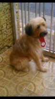 Marvin