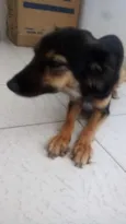 Menina