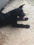Bruce