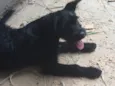Bruce