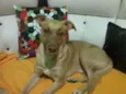 Nenem