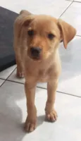 Não tem 