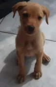 Não tem 