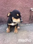 Bebê