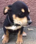 Bebê