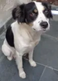 Princesa