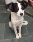 Princesa