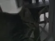 martinha
