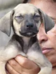 BRUNINHO