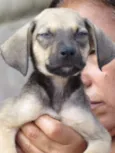 BRUNINHO
