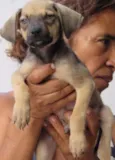 BRUNINHO